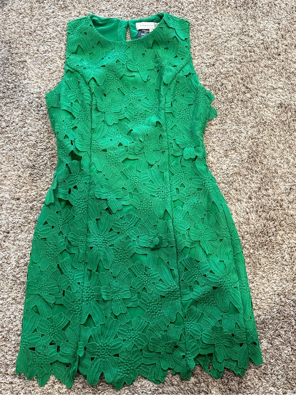 Endless Rose Green Floral Lace Mini Dress